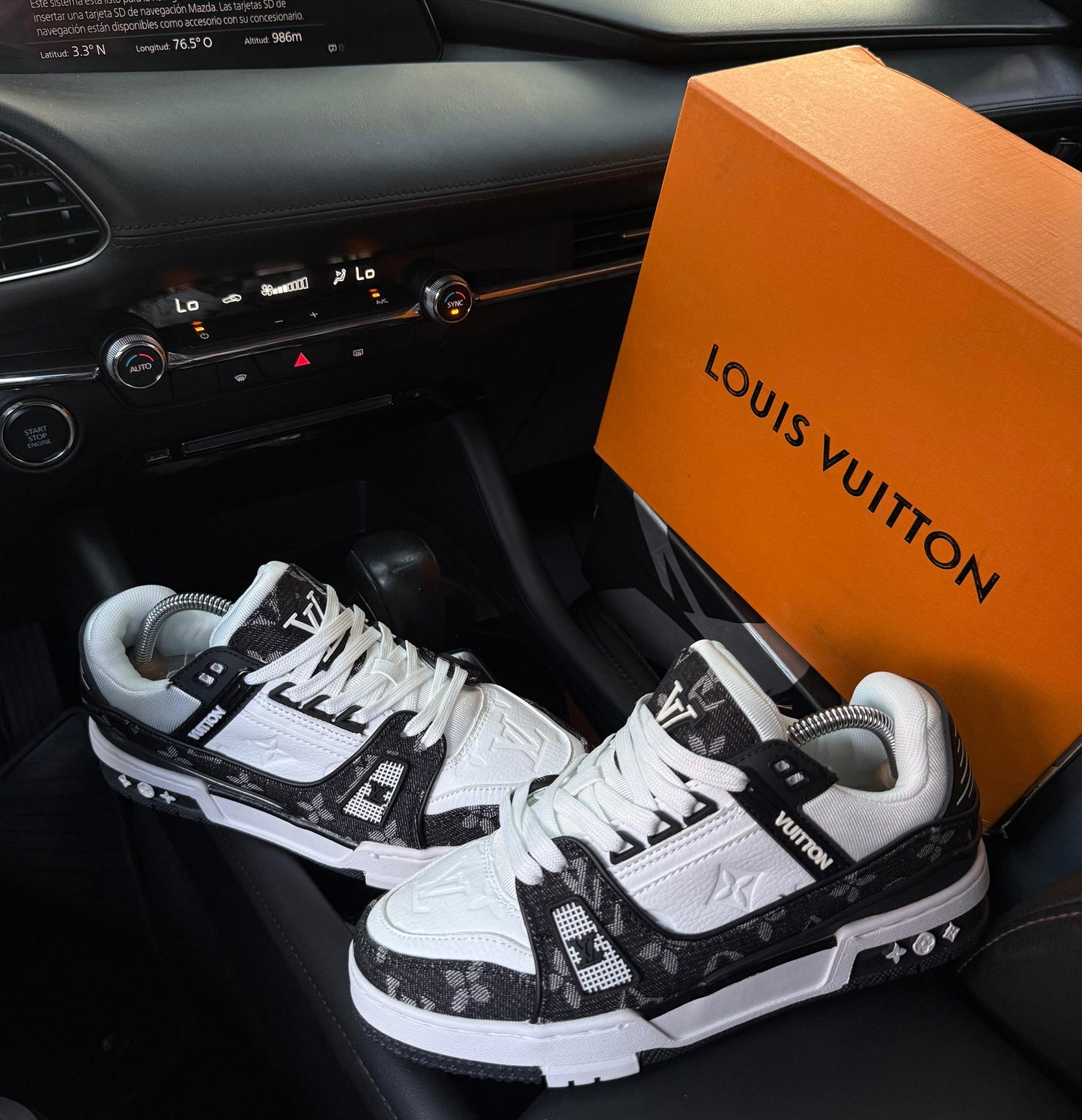 Louis Vuitton