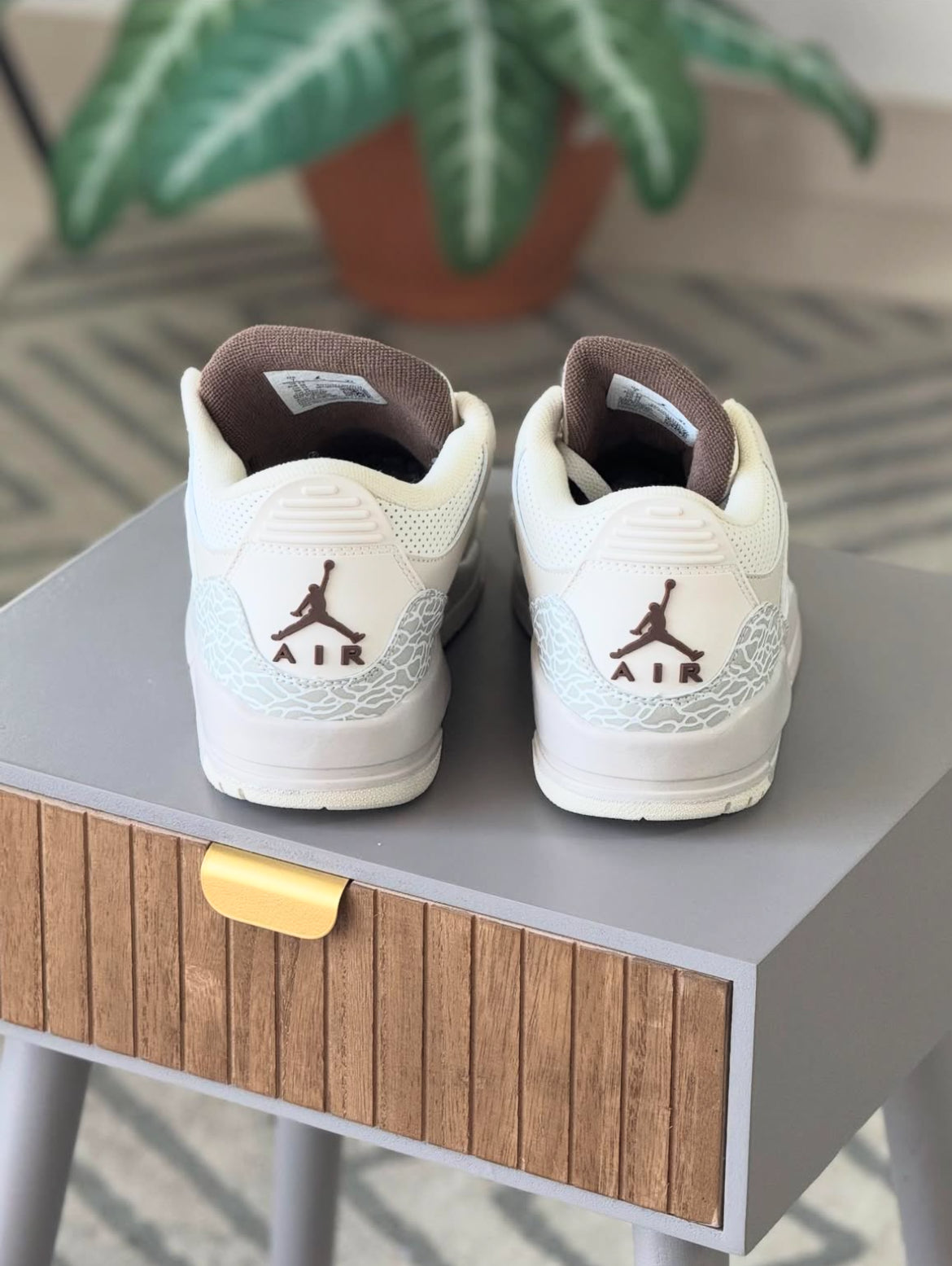 Jordan retro 3